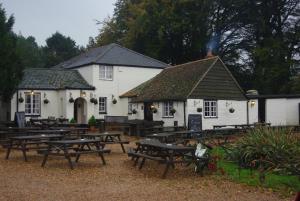 Pub (by PSEH CAMRA)